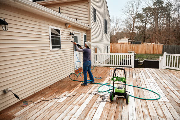 Best Affordable Pressure Washing  in Bemidji, MN