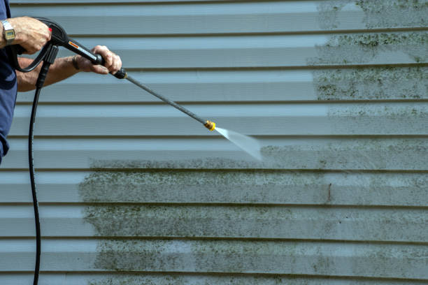 Best Sidewalk Pressure Washing  in Bemidji, MN