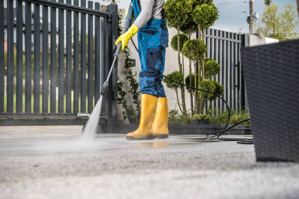 Best Commercial Pressure Washing  in Bemidji, MN