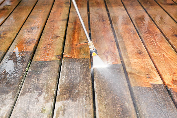 Best House Pressure Washing  in Bemidji, MN