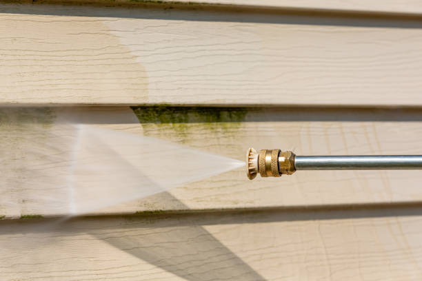 Best Pressure Washing Driveway  in Bemidji, MN